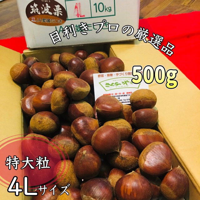 小布施栗 4Lサイズ 3キロ 楽天市場】小布施栗 おぶせ くり 超特大 4Lサイズ 約1kg 長野県
