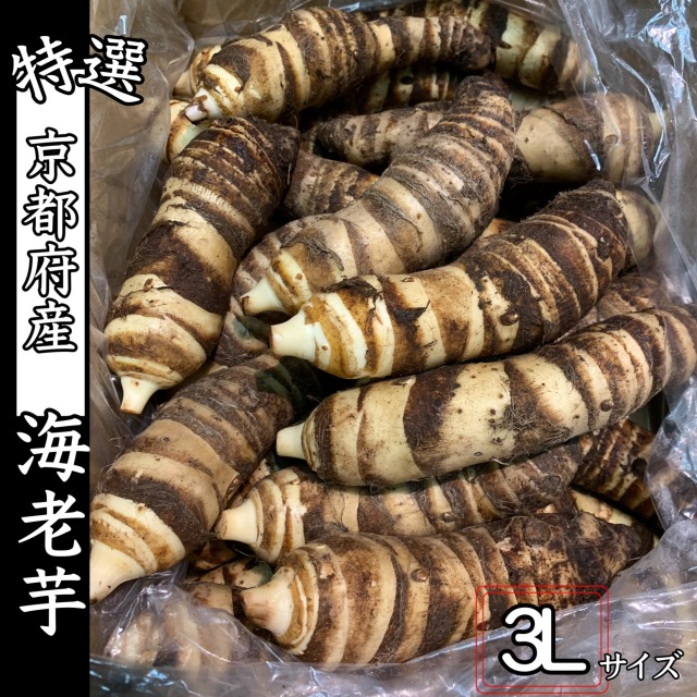 楽天市場】2026年1月8日より入荷次第順次発送【静岡県産】送料無料