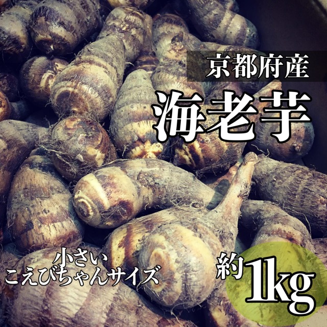 京都産 海老芋 約5kg えびいも。 京都産 海老芋 約5kg えびいも 【公式通販】