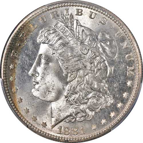 1881年Sミント モーガン銀貨 美しい色 PCGS MS65 素晴らしい外観｜世界の紙幣・金・銀・銅 ラフテル
