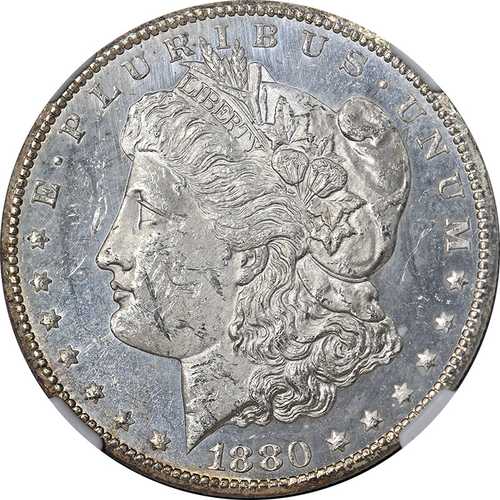 1880年CCミント モルガン銀貨 NGC MS61 PL ブラストホワイト 素晴らしい外観｜世界の紙幣・金・銀・銅 ラフテル