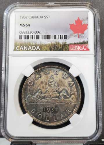 1937年 カナダ 銀貨 1ドル ジョージ6世 NGC MS 64 希少 美しいトーン｜世界の紙幣・金・銀・銅 ラフテル