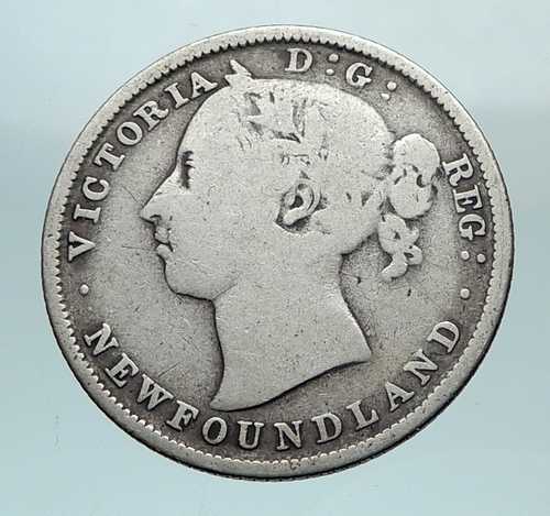 1882年 カナダ ニューファンドランド イギリス ヴィクトリア女王 純銀製 20セント硬貨 i81051｜世界の紙幣・金・銀・銅 ラフテル