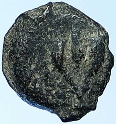 MATTATAYAH マタティアス アンティオゴノス 聖書 エルサレム コイン マティチャフ ヘン 1164 i109430|世界の紙幣・金・銀・銅 ラフテル