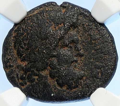 アンティオキア（セレウキスとピエリア）古代ギリシャコイン ゼウスとブール 希少品 NGC i106707｜世界の紙幣・金・銀・銅 ラフテル