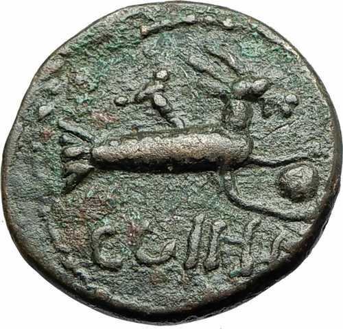 セブルス アレキサンダー 222AD パリウム パリオン ミシア 古代ローマ コイン CAPRICORN i76076|世界の紙幣・金・銀・銅 ラフテル