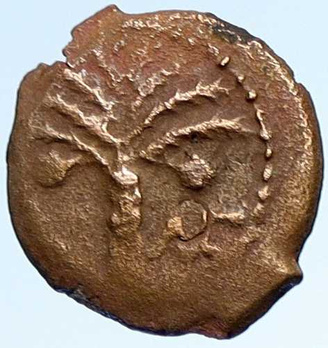 コポニウス アウグストゥス帝時代のローマ・エルサレム総督 紀元6年 古代聖書時代のコイン i106921|世界の紙幣・金・銀・銅 ラフテル
