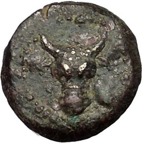 パフラゴニア王ピライメネス II または III レア 133BC レア R1 ギリシャ コイン i5｜世界の紙幣・金・銀・銅 ラフテル