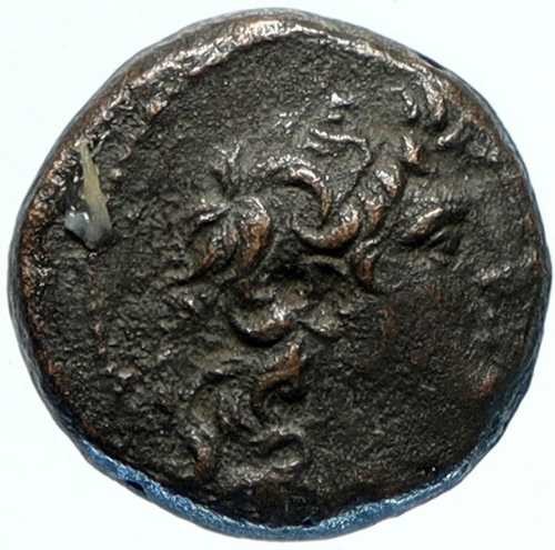 トリフォン 希少な古代ギリシャコイン 142年 セレウコス朝 本物 ヘルメット付き i97472｜世界の紙幣・金・銀・銅 ラフテル