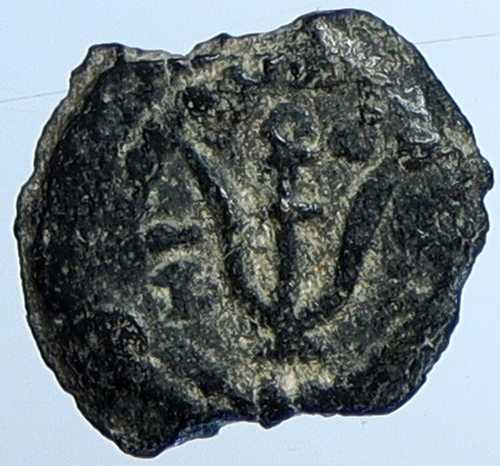 ヘロデ・アルケラオス ユダヤ王 聖書時代のエルサレムのコイン アンカー ヘンディン 1193 i110410｜世界の紙幣・金・銀・銅 ラフテル