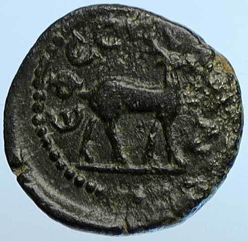 セプティミウス・セウェルス帝 193年 エフェソス イオニア 鹿 古代ローマの本物コイン i110185|世界の紙幣・金・銀・銅 ラフテル
