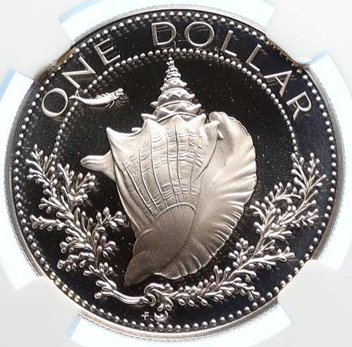 1974年 バハマ コンクシェル入り ヴィンテージ オールド プルーフ シルバー ドル コイン NGC i106361｜世界の紙幣・金・銀・銅 ラフテル