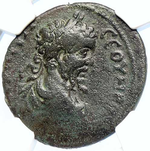 セプティミウス セウェルス ポントゥス ネオカエサレア 古い古代ローマのコイン 神殿 NGC i106049|世界の紙幣・金・銀・銅 ラフテル