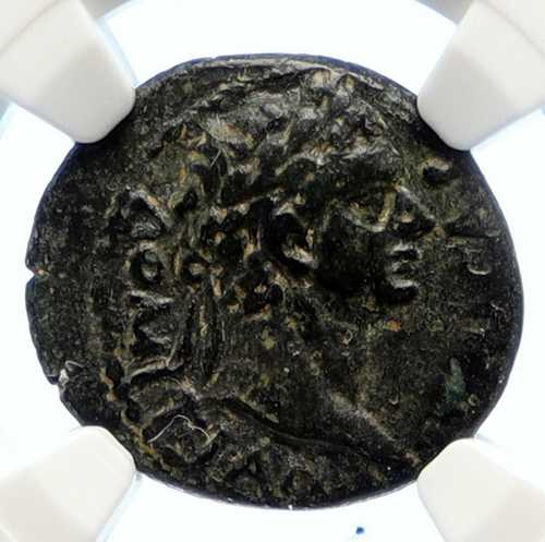 ドミティアヌス帝 古代ローマのコイン 81-96年 アテナ NGC i95574｜世界の紙幣・金・銀・銅 ラフテル