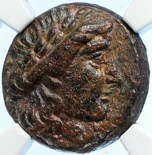 SELEUKOS II KALLINIKOS レア R1 アポロ古代セレウキッド ギリシャ コイン NGC i106710｜世界の紙幣・金・銀・銅 ラフテル