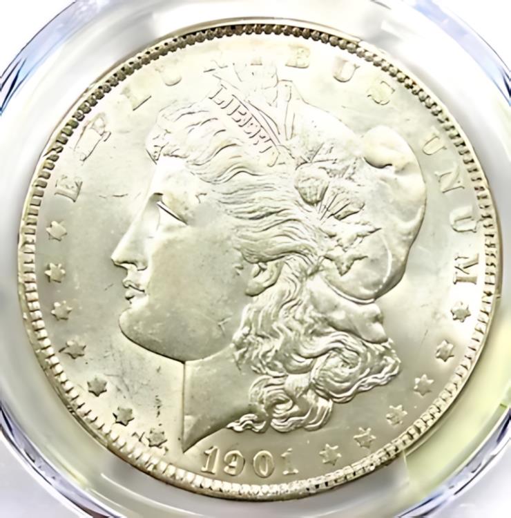 楽天市場】1891-CC モーガン ドル 1 ドル コイン - 認定 PCGS