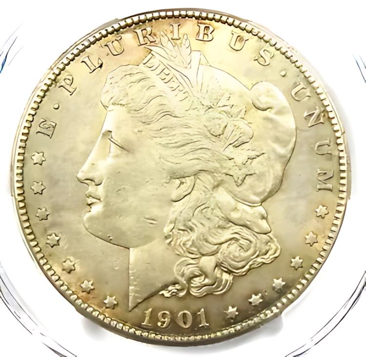 レア 1896モルガンコンチョ レア 1896モルガンコンチョ