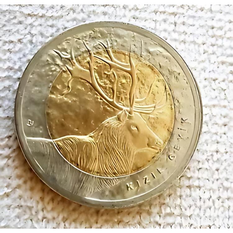 プルーフ貨常セット 日本トルコ友好120周年 img58775751.jpg