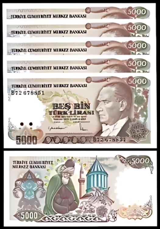 楽天市場】トルコ 250000 リラ 1970 (1998)、UNC、P-211 : 世界の紙幣