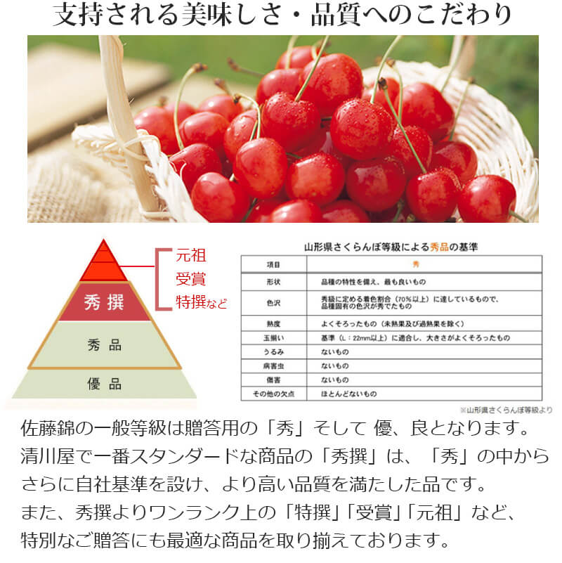 完熟 さくらんぼちゃん 1g 6カップ 山形県産 お中元 を産地直送 チョコレート さくらんぼ ラフランス ギフト 紅秀峰 の 初夏の贈答用に高級フルーツ 清川屋のサクランボ