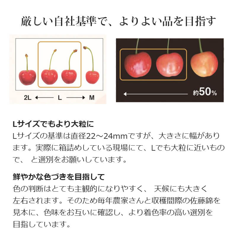 完熟 さくらんぼちゃん 1g 6カップ 山形県産 お中元 を産地直送 チョコレート さくらんぼ ラフランス ギフト 紅秀峰 の 初夏の贈答用に高級フルーツ 清川屋のサクランボ