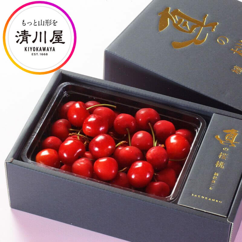 楽天市場】さくらんぼ 真の桜桃 佐藤錦 2L 500g ( 山形県産