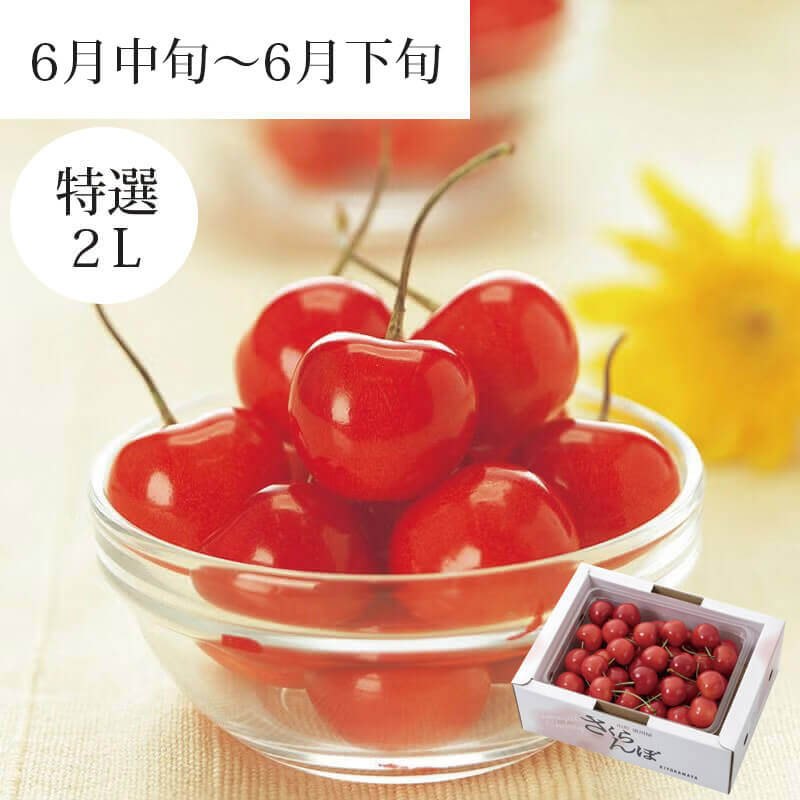 さくらんぼ 紅秀峰 特選 バラ詰め 2L 500g 6月上旬～6月中旬お届け ( 山形県産 さくらんぼ を産地直送 お中元 ギフト 初夏の贈答用に高級フルーツ 清川屋のサクランボ )