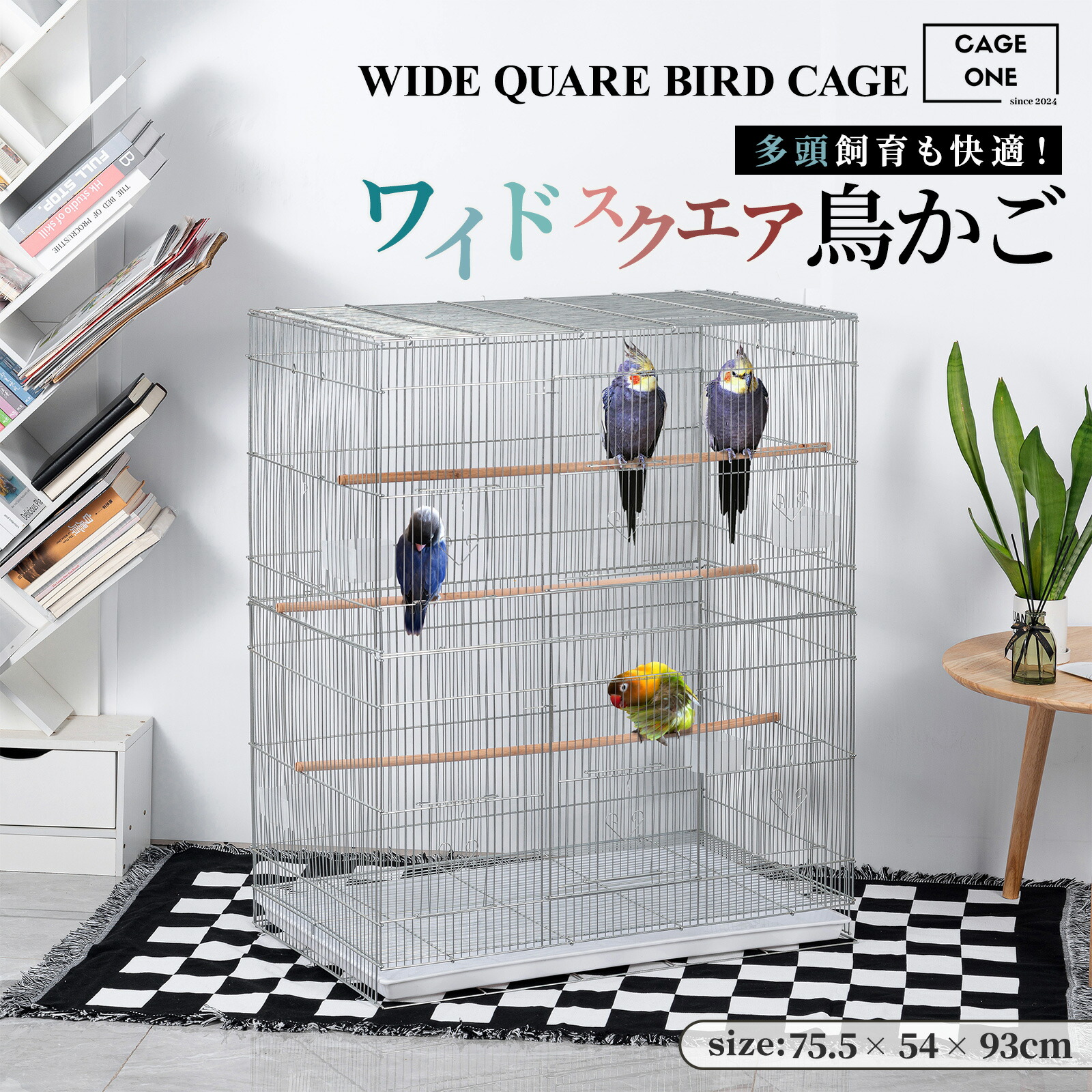 楽天市場】【送料無料】小型 鳥かご バードケージ 鳥小屋 鳥カゴ【鳥 ゲージ ケージ バードゲージ セキセイインコ 手乗りインコ オウム】 :  さくらねこShop