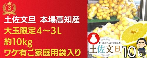 楽天市場】【100円クーポン有】【送料無料】 ☆高知産 土佐文旦最大級