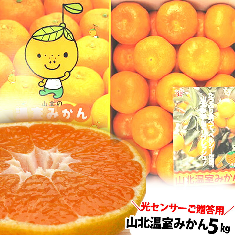 高知産　温室山北みかん 　約５Kg　 3Sサイズ 秀品 山北の温室みかん・おきつ系・赤秀品・～5kgみかん箱入・S、Mサイズ