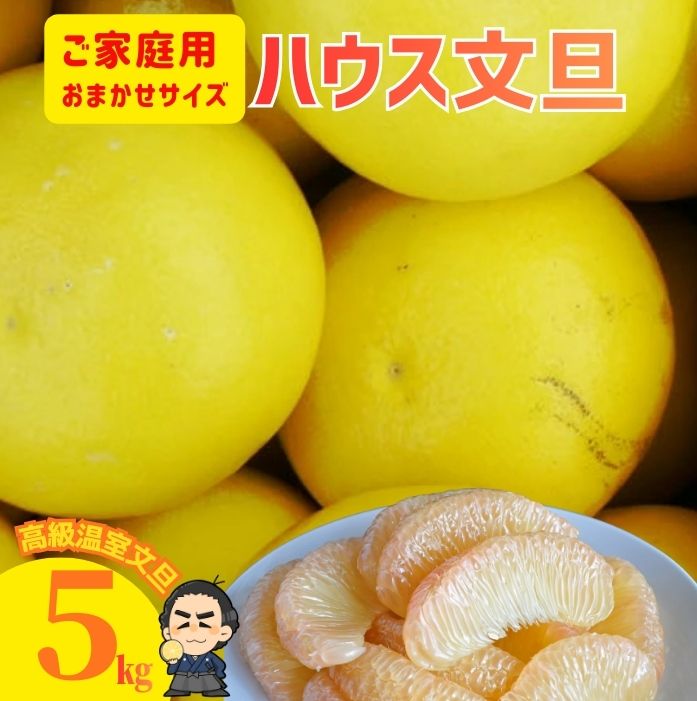 楽天市場】贈答用 温室文旦 ☆3kg 5〜7玉入ギフト用化粧箱入