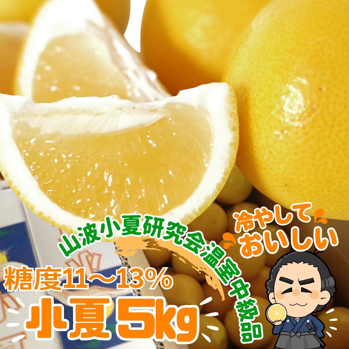 日本一美味しい小夏 ★高知産 山波小夏研究会<br>温室小夏中級品約５kg 売れ筋<br><br>４月下旬頃より発送予定<br><br>沖縄本土と北海道は別途送料<br> 全国の離島は発送不可 <br>
