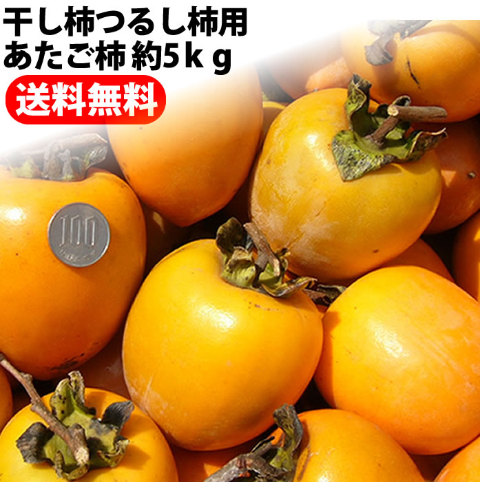 楽天市場】次郎柿 約８ｋｇ 甘柿 ご家庭用 高知県産 送料無料 土佐の甘かき１０月末頃より発送予定 沖縄本土と北海道は別途送料 全国の離島は発送不可  : 産直龍馬くん