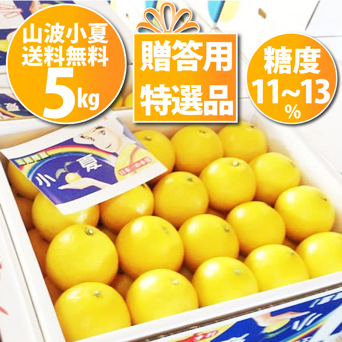 【送料無料】 ★高知産 山波小夏研究会<br>温室小夏約５kg 贈答用特選品<br><br>４月下旬頃より発送予定<br><br>沖縄本土と北海道は別途送料<br> 全国の離島は発送不可 <br>