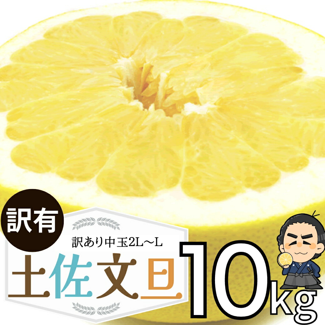 楽天市場】【100円クーポン有】毎年大人気 土佐文旦 訳あり 4L〜3L