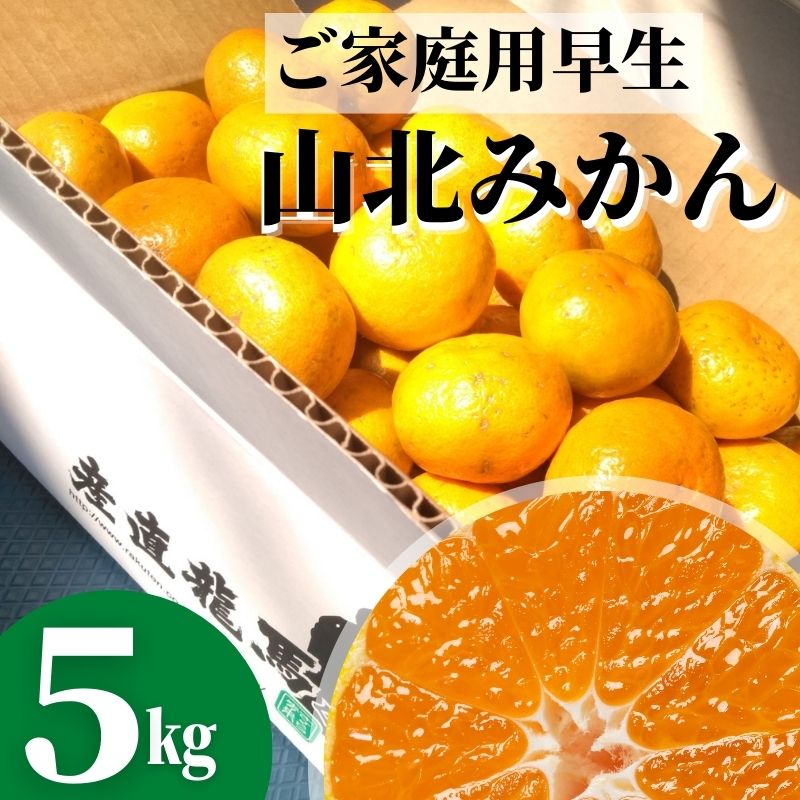 楽天市場】次郎柿 約８ｋｇ 甘柿 ご家庭用 高知県産 送料無料 土佐の甘かき１０月末頃より発送予定 沖縄本土と北海道は別途送料 全国の離島は発送不可  : 産直龍馬くん