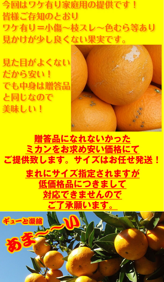 楽天市場 送料無料 みかんの名産地高知産 山北みかん５ｋｇワケ有り一般ご家庭用 訳あり沖縄本土と北海道は別途送料 全国の離島は発送不可 １１月上頃より発送予定 産直龍馬くん