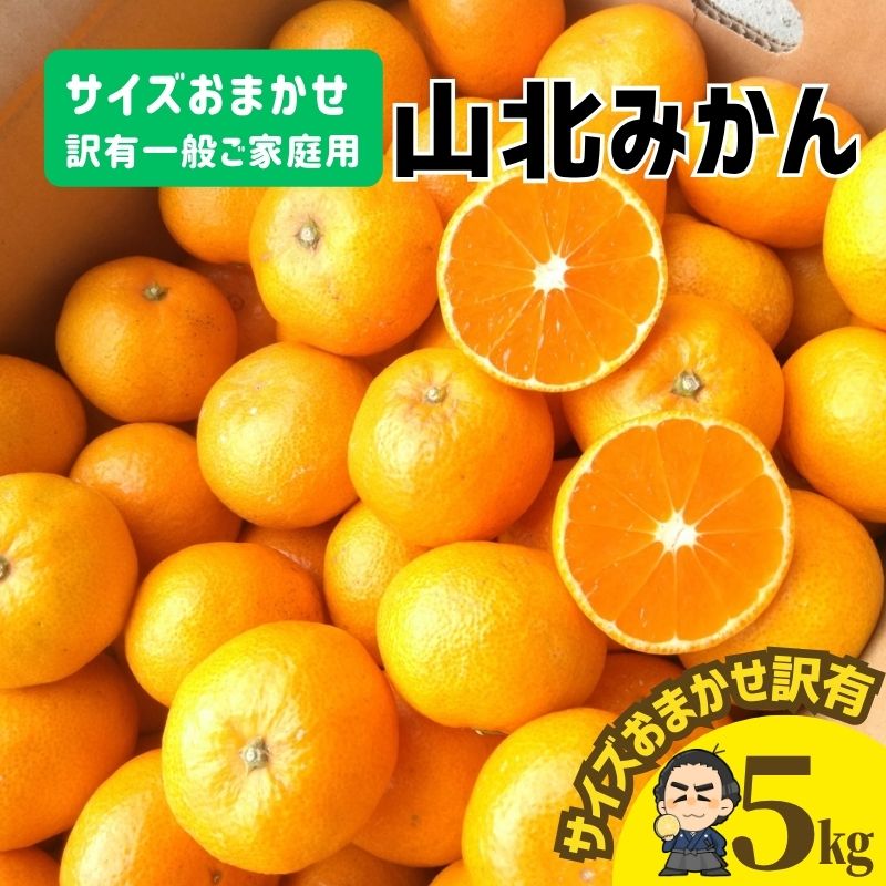 Y子　高知特産 山北みかん サイズおまかせ 約10㎏ yamakitamikanji5n-1.jpg