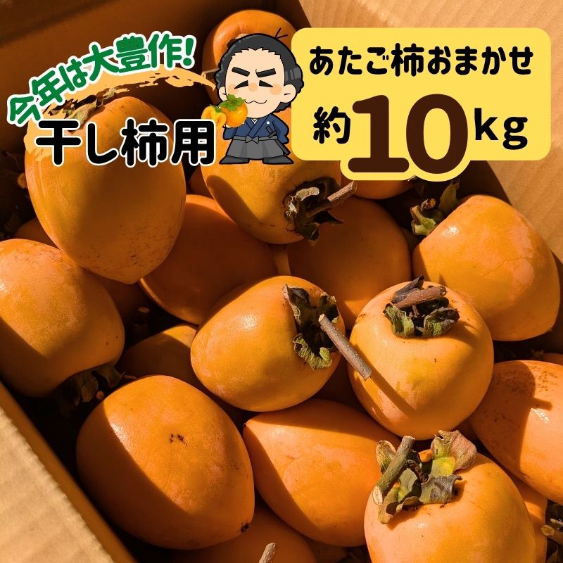 楽天市場】あたご柿 約20kg愛媛県 枝付渋柿 愛宕柿 干し柿用 11