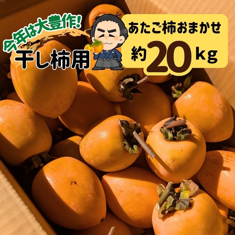 楽天市場】＜LINE初回登録で100円オフ＞☆渋柿 大和柿 約8kg 枝付