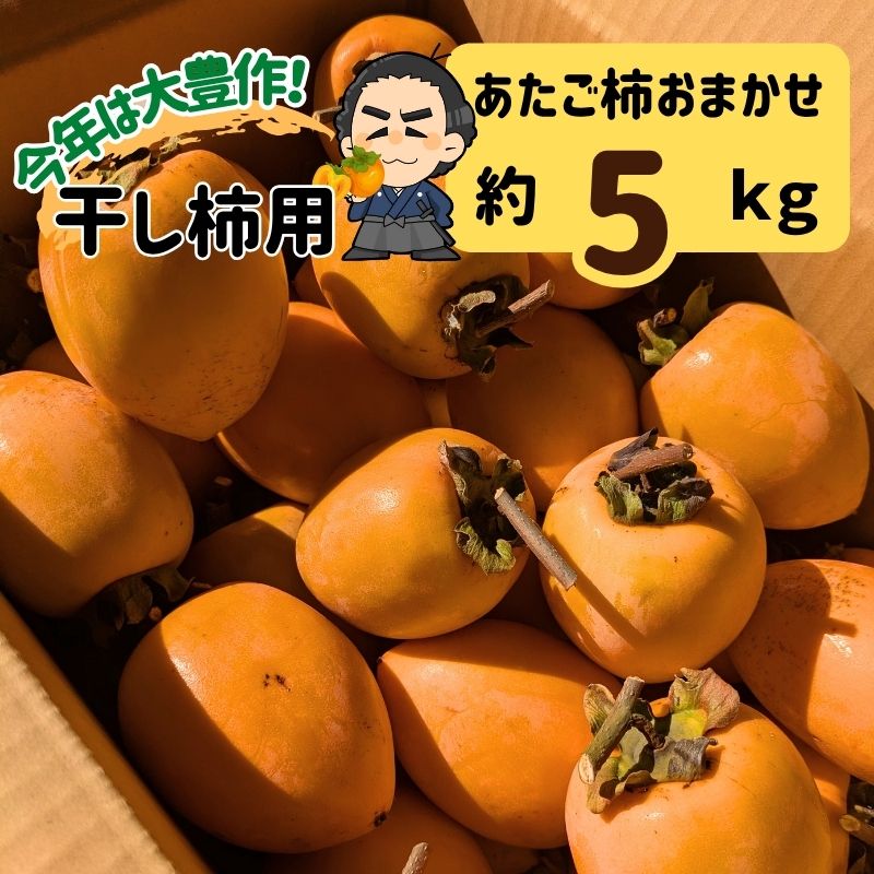 楽天市場】あたご柿 大玉限定3L～2L 約20kg愛媛県 枝付渋柿 愛宕