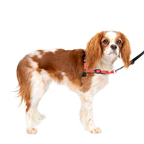 PetSafe（ペットセーフ） 犬用 引っ張り防止ハーネス デラックスイージーウォークハーネス ローズレッド×ブラック S
