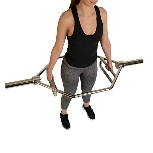 Sunny Health \u0026 Fitness (小僧健全さ\u0026相応うネス) ストレングストレーニングオリンピック六角赤ちょうちん バーベル ?しろがね色 デッド昇降機とシュラッグ用 OB-HEX