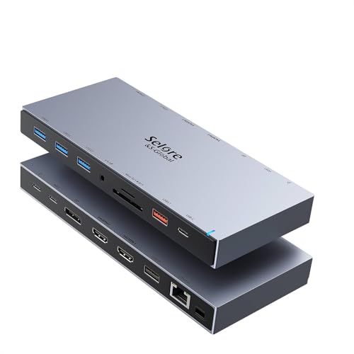 Selore USB C ドッキングステーション type c HDMI 2つ Dock【15 in 1】 DP DP1.4 4K 2画面 3画面モード デュアル トリプルディスプレイ 100W 急速充電 有線LAN RJ45/3.5mm オーディオジャック/USB-A