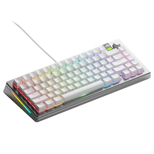 Glorious GMMK 3 PRO 75% Prebuilt Wired Silver - US 英語申し合わせ 有線 力学的鍵盤 しろがね色 GLO-KB-GMMK3-PRO-75-PB-FOX-W-SIL-US KB0830