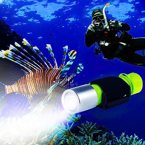 楽天市場】ダイビングライト、LetonPower 5000 Lumens 水中ライト,100m