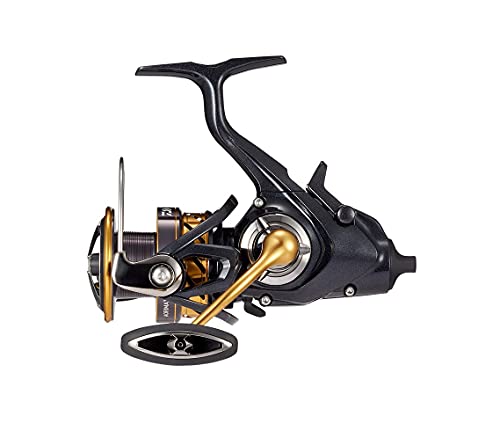 ダイワ(DAIWA) スピニングリール(ヤエン) 19 アオリマチックBR LT3000D(2019模範例)
