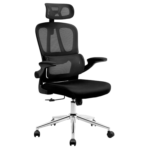 FLEXISPOT オフィスチェア デスクチェア OC6 人間工学 メッシュチェア 独立型ランバーサポート ロッキング調節 跳び上げ式アームレスト 2Dヘッドレスト 在宅勤務 会議室 オフィス用 (OC6, ブラック)