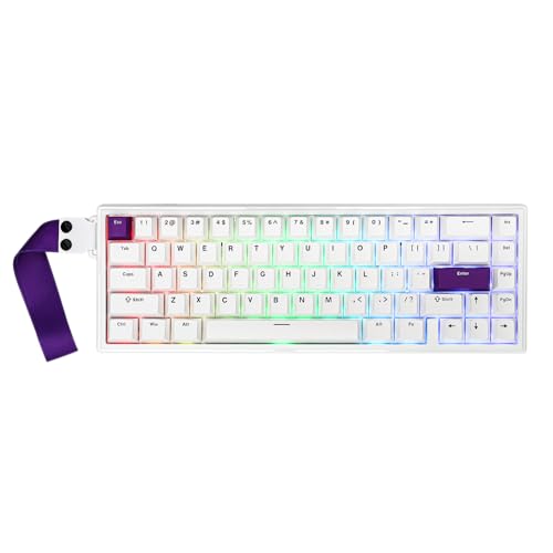 EPOMAKER HE68 有線磁気ゲーミングキーボード 8Kポーリングレート 0.125ms低遅 RGBバックライト ガスケットマウント設計 USB-A to C接続 Mac/PC/PS/Switch対応 携帯性 (White)