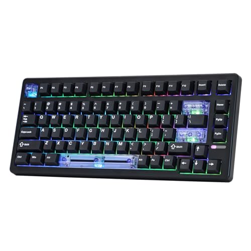 EPOMAKER HE80 ホール効果ゲーミングキーボード 8Kポーリング＆32Kスキャン クリーミーガスケット DKS SOCD RGBバックライト ホットスワップ対応 PC＆Mac用 有線ゲーミングキーボード (Black)